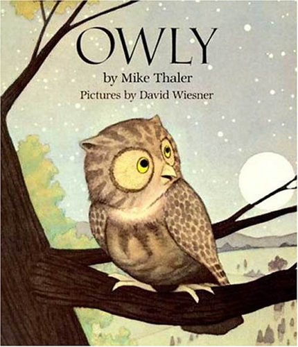 Book cover for Owly