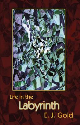 Book cover for Life in the Labyrinth