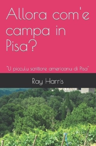 Cover of Allora com'e campa in Pisa?