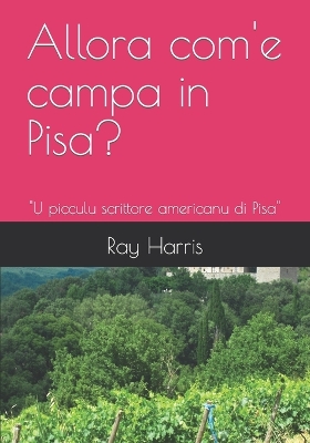 Book cover for Allora com'e campa in Pisa?