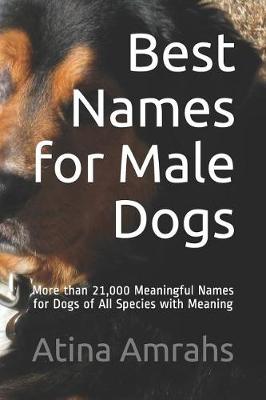 Book cover for Best Names for Male Dogs