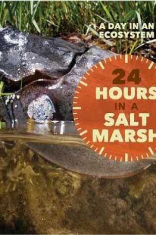 Cover of 24 Hours in a Salt Marsh