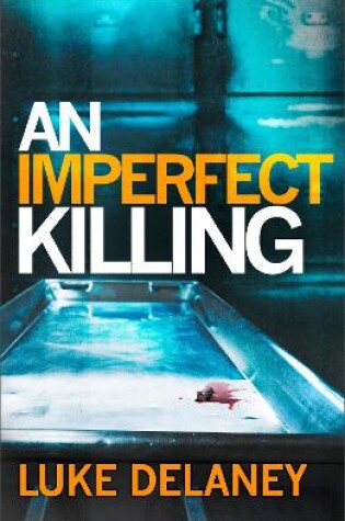 Cover of An Imperfect Killing