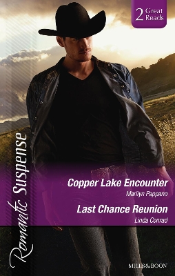 Book cover for Copper Lake Encounter/Texas Cold Case/Texas Lost And Found