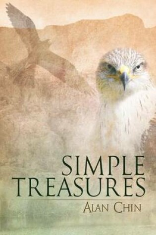 Cover of Simple Treasures