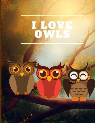 Book cover for Owls Notebook for kids