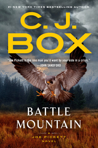 Cover of Battle Mountain