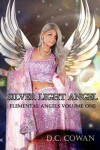 Book cover for Silver Light Angel