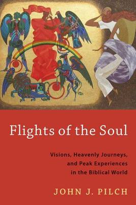 Book cover for Flights of the Soul