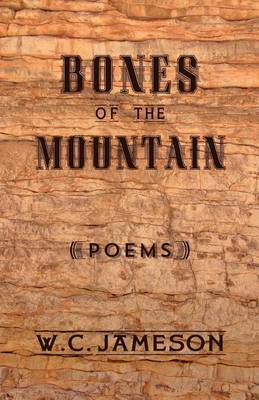 Book cover for Bones of the Mountain
