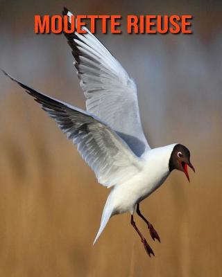 Book cover for Mouette Rieuse