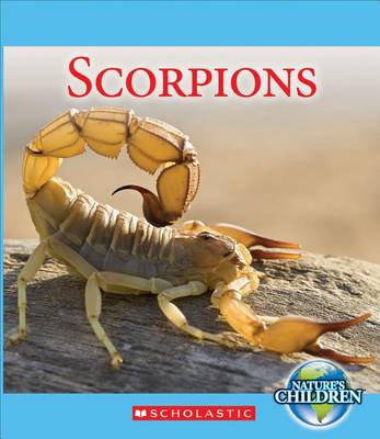 Book cover for Scorpions