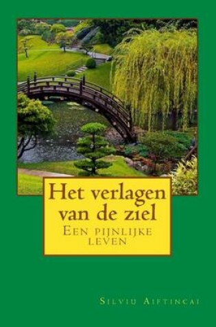 Cover of Het Verlagen Van de Ziel