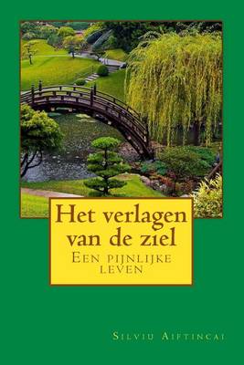 Book cover for Het Verlagen Van de Ziel