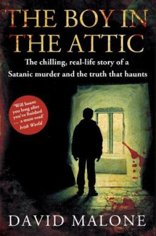 Cover of The Boy in the Attic