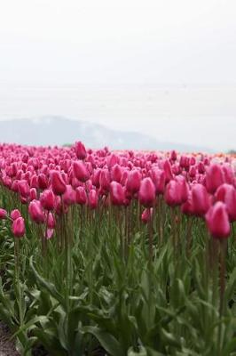 Book cover for Field of Pink Tulips
