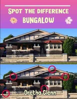 Book cover for Spot the difference Bungalow