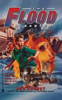 Book cover for The Flood Disaster
