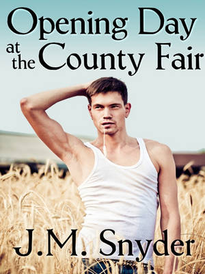 Book cover for Opening Day at the County Fair