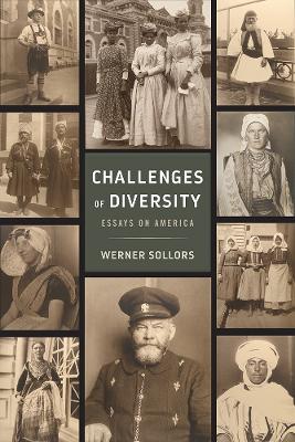 Book cover for Challenges of Diversity