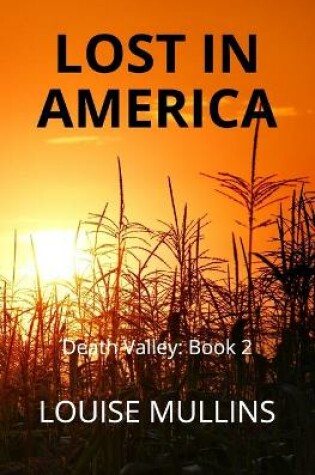 Cover of Lost in America