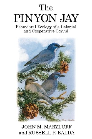 Cover of The Pinyon Jay