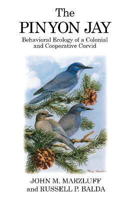 Book cover for The Pinyon Jay