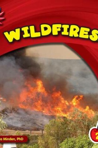 Cover of Wildfires!