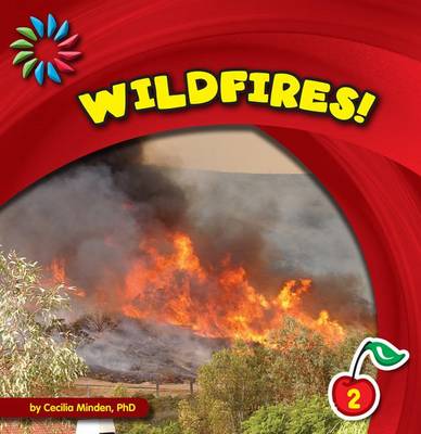 Book cover for Wildfires!