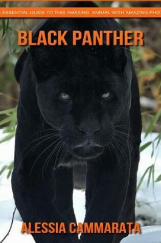 Cover of Black Panther