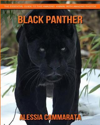 Cover of Black Panther