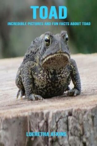 Cover of Toad