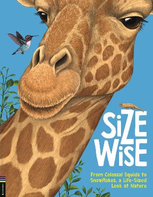 Cover of Size Wise