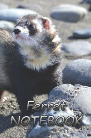 Cover of Ferret NOTEBOOK