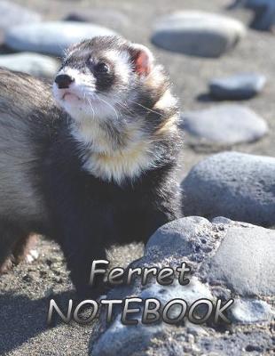 Book cover for Ferret NOTEBOOK