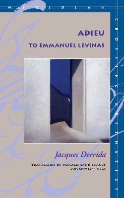 Book cover for Adieu to Emmanuel Levinas