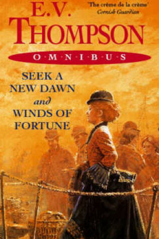 Cover of Seek A New Dawn/Winds Of Fortune