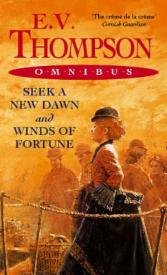 Book cover for Seek A New Dawn/Winds Of Fortune