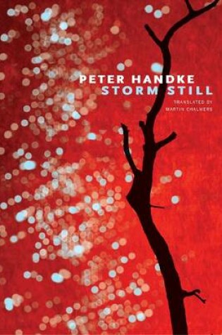 Cover of Storm Still