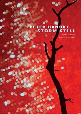 Book cover for Storm Still