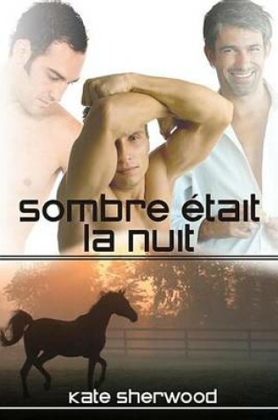 Cover of Sombre Etait La Nuit