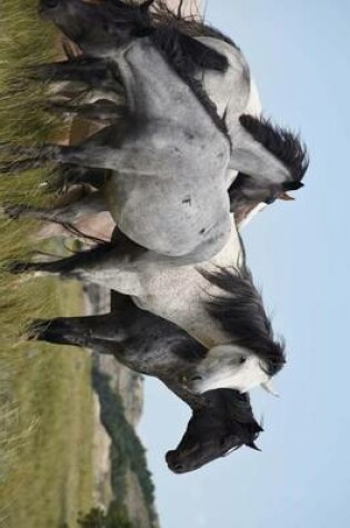 Cover of Magnificent Wild Horses on the Grassy Plains, for the Love of Animals