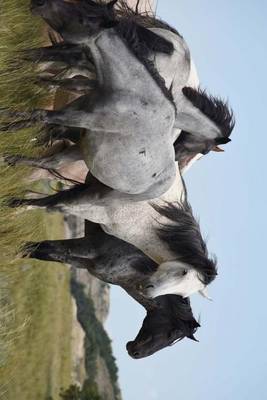 Book cover for Magnificent Wild Horses on the Grassy Plains, for the Love of Animals