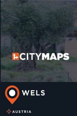 Cover of City Maps Wels Austria