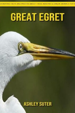 Cover of Great Egret