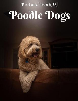 Book cover for Picture of Poodle Dogs