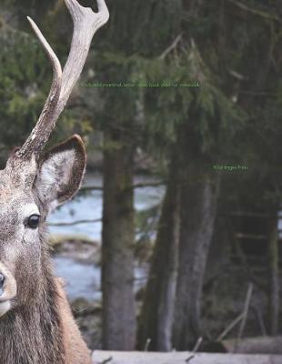 Book cover for Hirsch Wild Mammal Antler Male Bock Park Fur Notebook