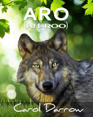 Book cover for Aro