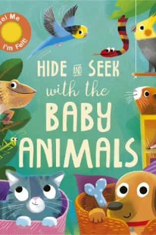 Cover of Hide and Seek with the Baby Animals