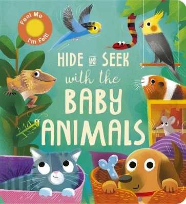 Book cover for Hide and Seek with the Baby Animals